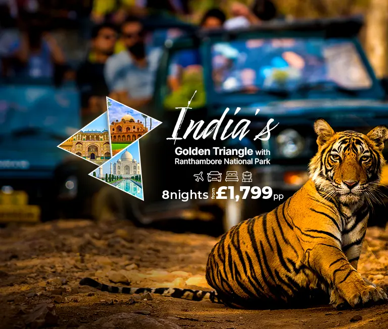 India’s Golden Triangle & Ranthambore National Park Deal