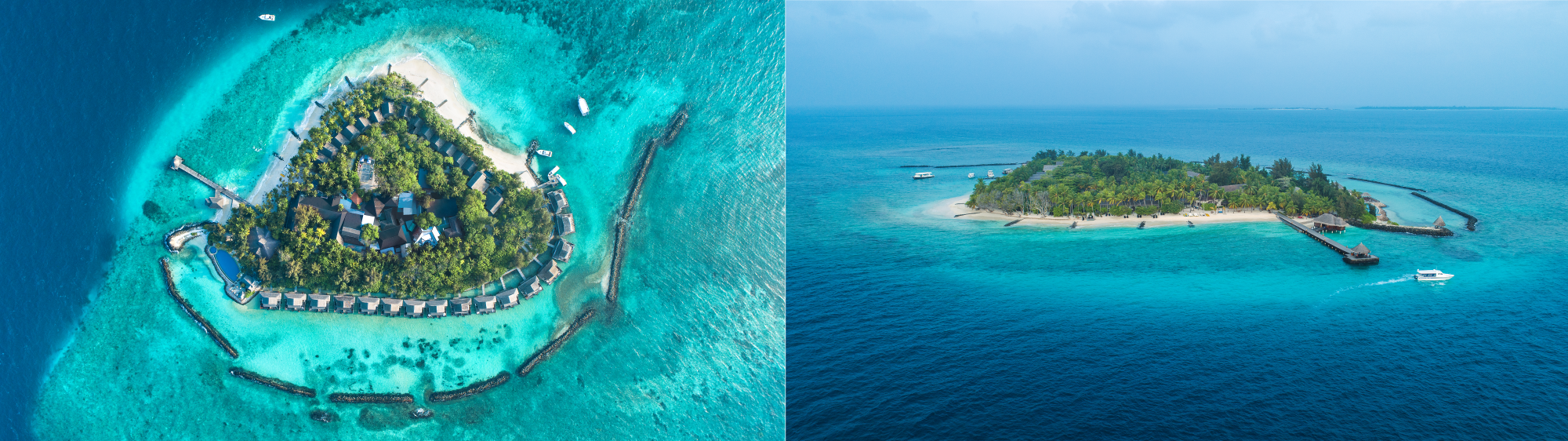 Taj Coral Reef Resort & Spa