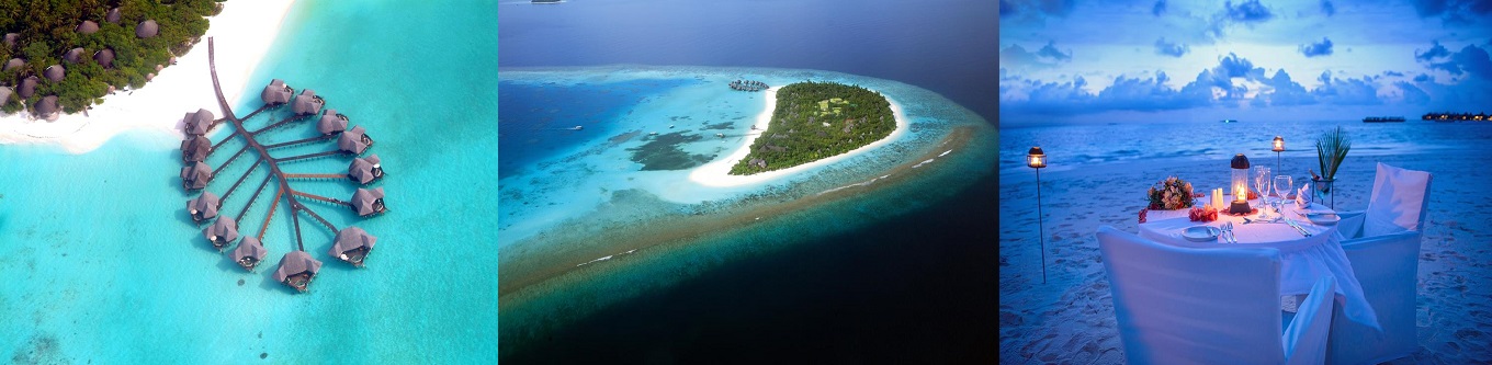 Coco Palm Dhuni Kolhu