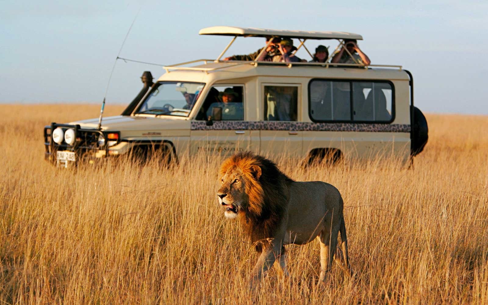 cheap safari holidays 2024
