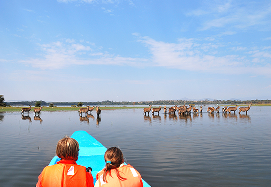 Cruise Lake Naivasha