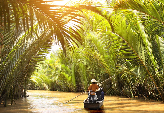 Mekong Delta