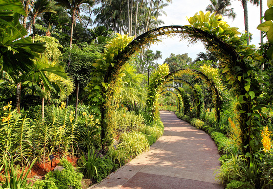 Singapore Botanic Gardens