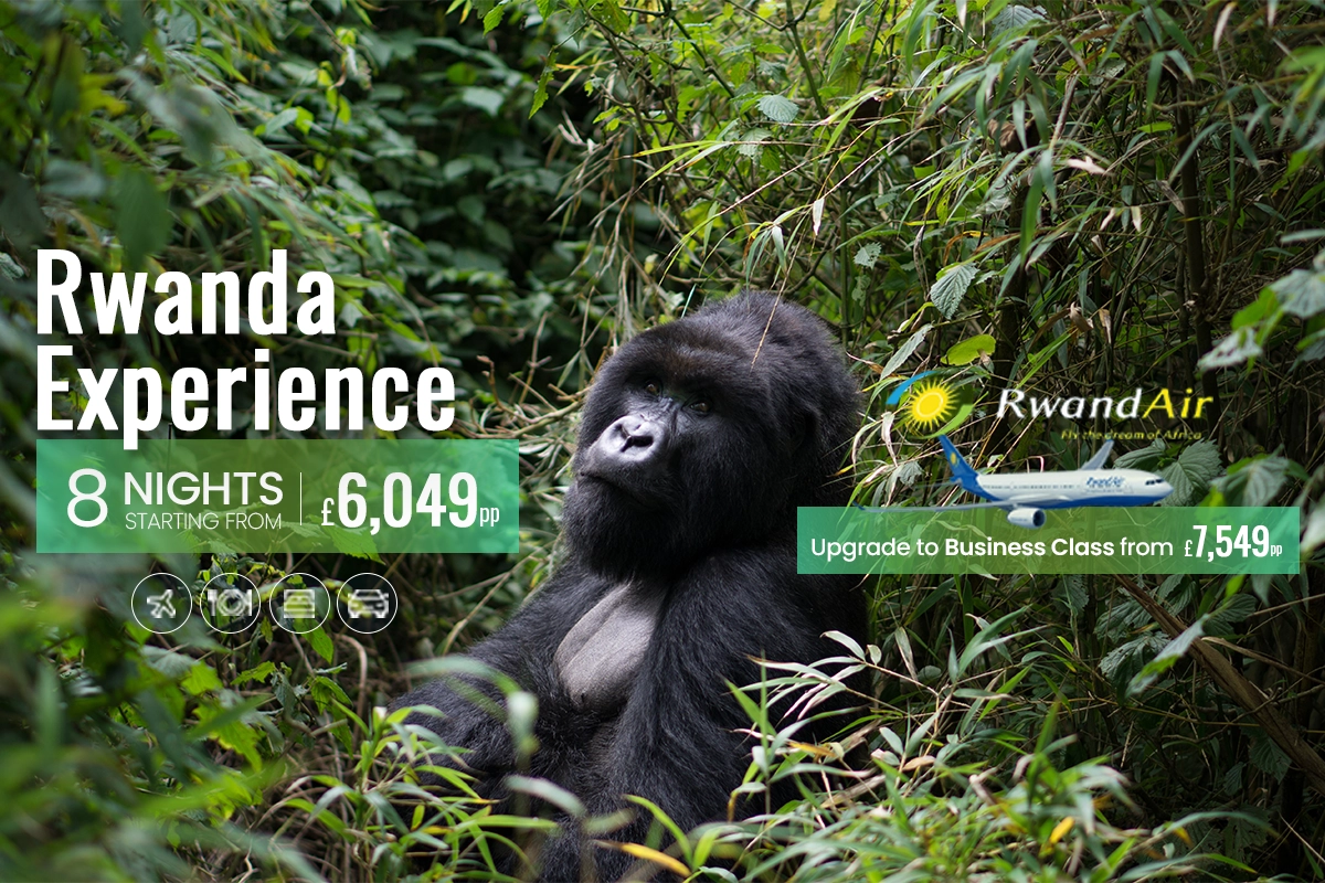 Rwanda-Experience