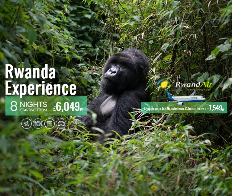 Rwanda-Experience