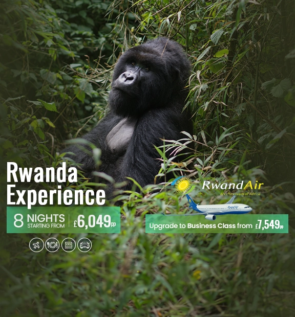 Rwanda-Experience