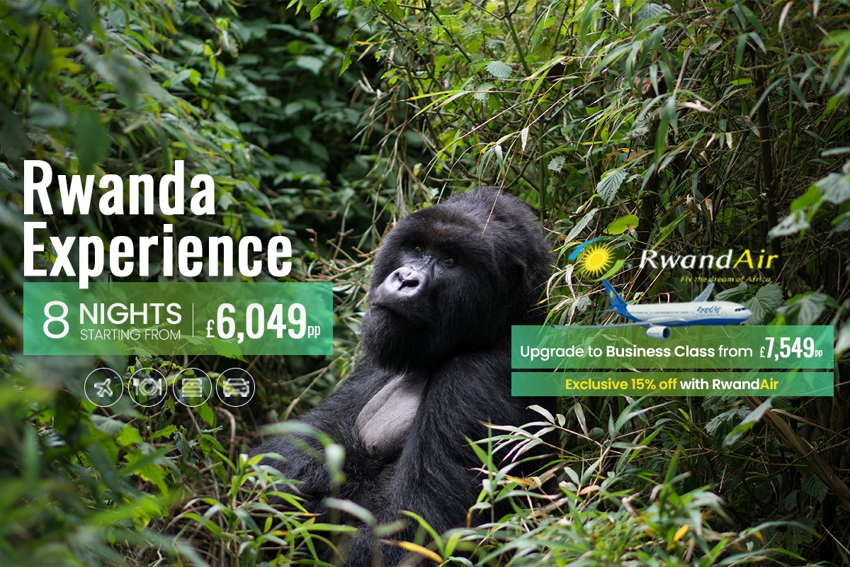 Rwanda-Experience