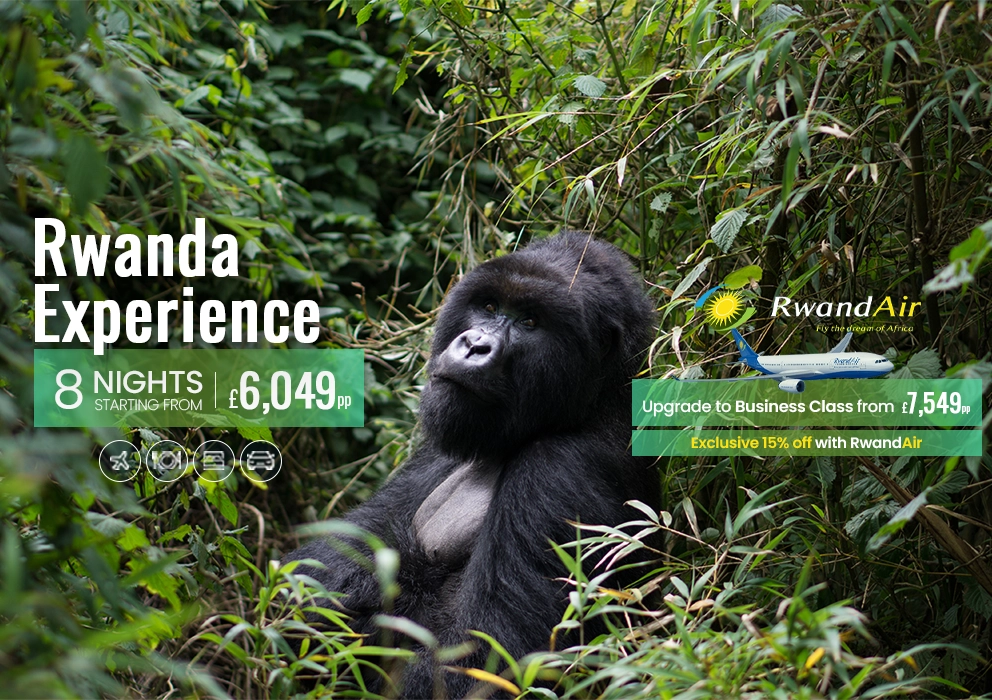 Rwanda-Experience